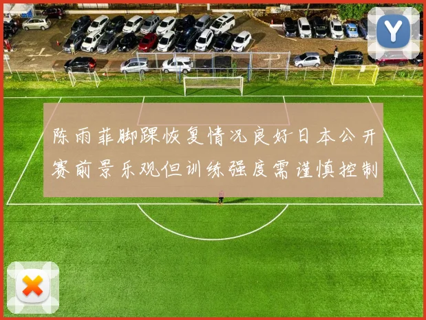 陈雨菲脚踝恢复情况良好日本公开赛前景乐观但训练强度需谨慎控制